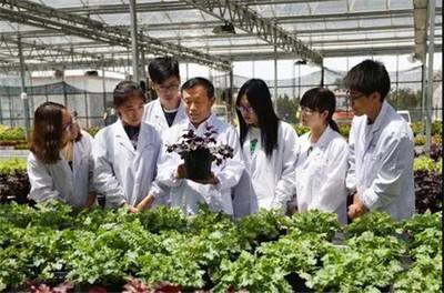 扎根濰坊大地，助力‘三農’發展 濰坊職業學院的農業技術研究實踐