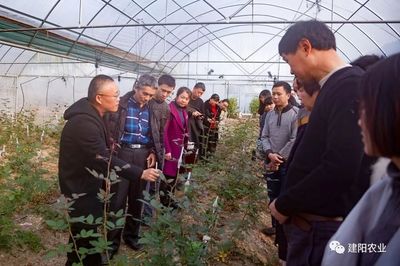 田間地頭的生動課堂 建陽區農技培訓“搬進”農業企業，賦能鄉村振興