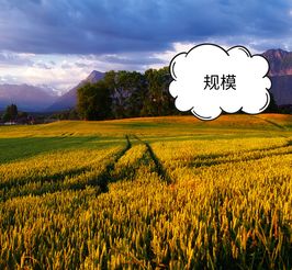科技賦能農業，智慧引領電商——為農產品電商領域中的農業技術研究者點贊