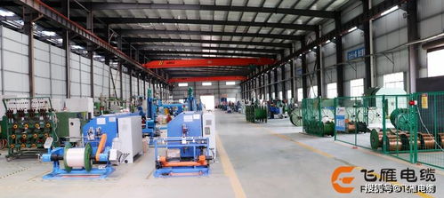 飛雁電纜VV與YJV電纜 質量解析與核心區別